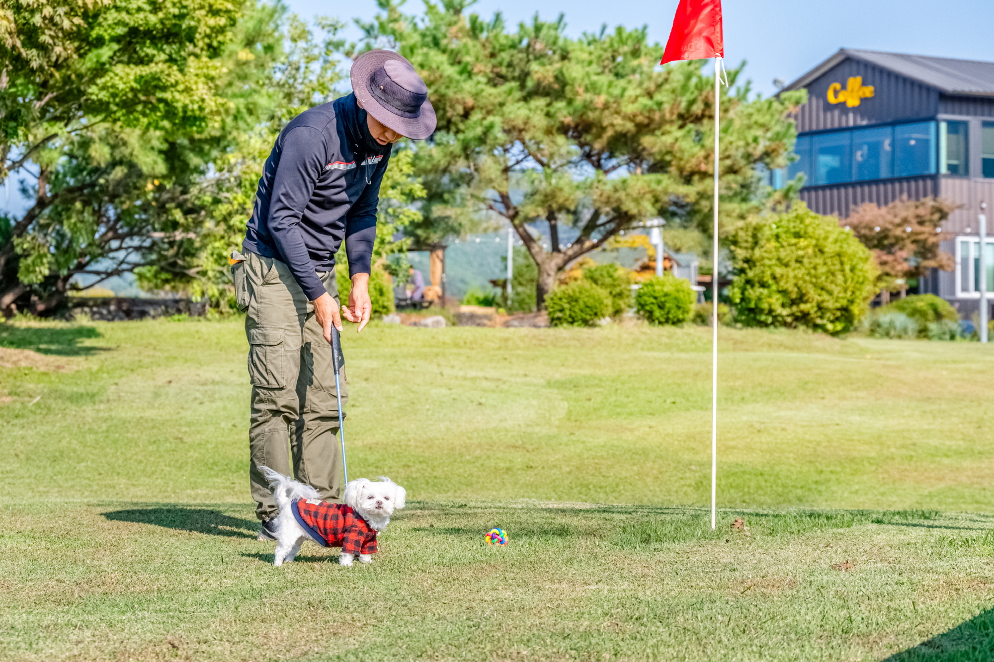 GOLF